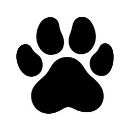 Busesy